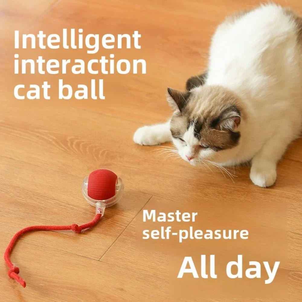 Rechargeable Pet Rolling Ball