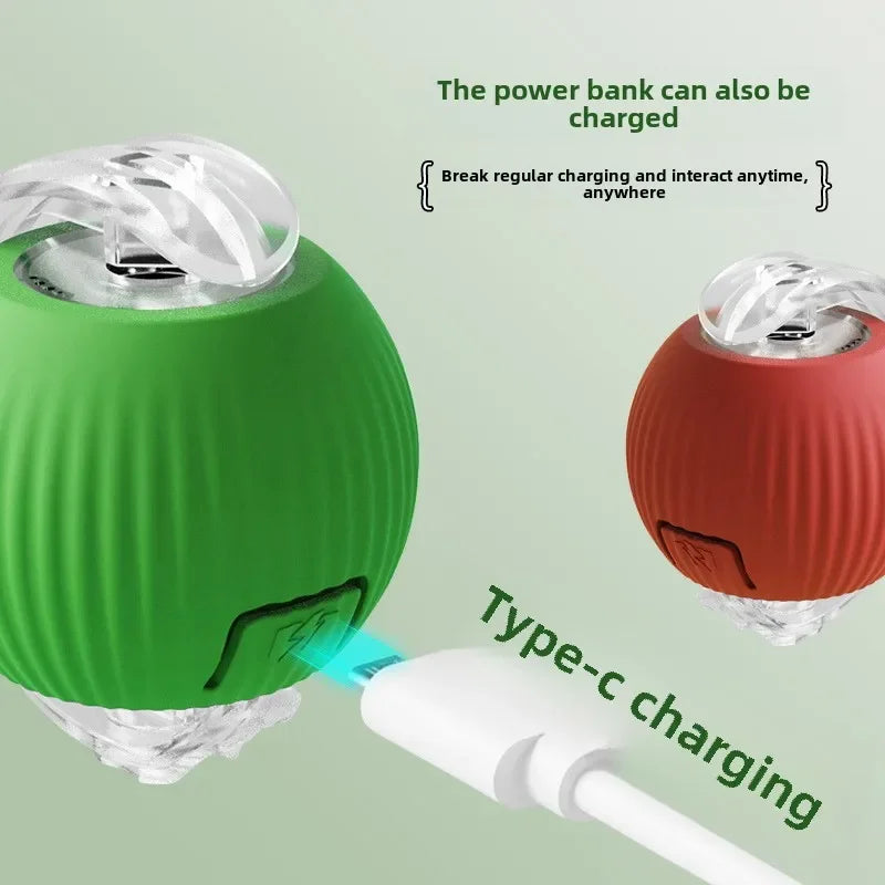 Rechargeable Pet Rolling Ball