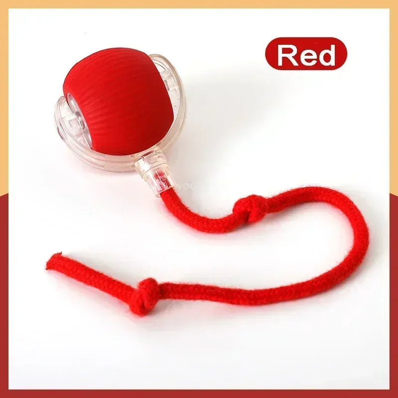 Rechargeable Pet Rolling Ball