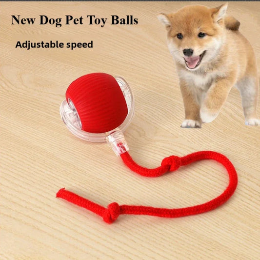 Rechargeable Pet Rolling Ball