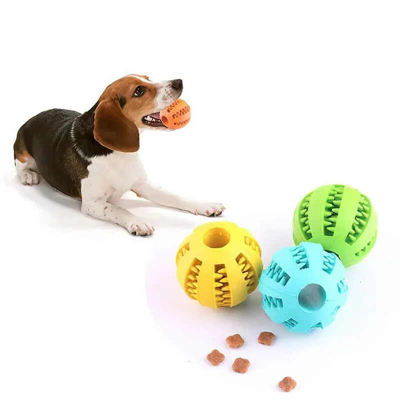 Pup Treat Ball