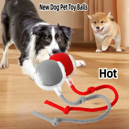 Rechargeable Pet Rolling Ball